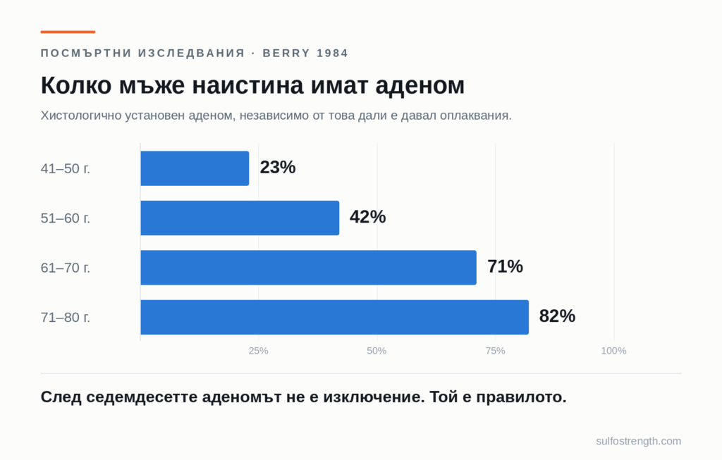 Дял на мъжете с хистологично установен аденом: 23% на 41–50 г., 42% на 51–60 г., 71% на 61–70 г., 82% на 71–80 г.