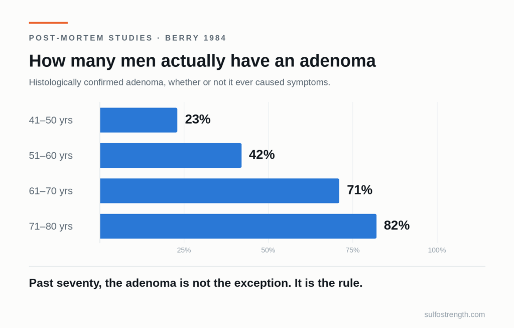 Proportion of men with histological adenoma: 23% at 41–50, 42% at 51–60, 71% at 61–70, 82% at 71–80