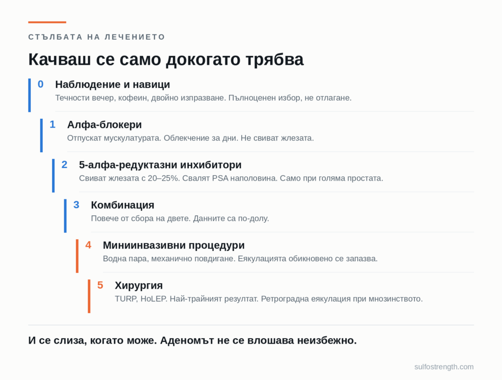 Шестте стъпала на лечението при аденом на простатата — от наблюдение до хирургия